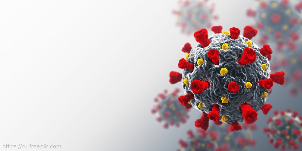 Соблюдение прав граждан на охрану здоровья в период пандемии: круглый стол в Общественной палате РФ с участием НИИОЗММ ДЗМ