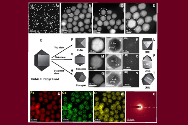 Наночастицы необычной формы: прорыв в лечении злокачественных опухолей (США)