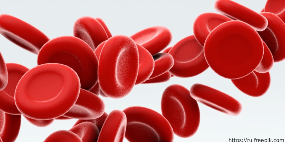 Гематология: представленность публикаций в ТОП наиболее цитируемых