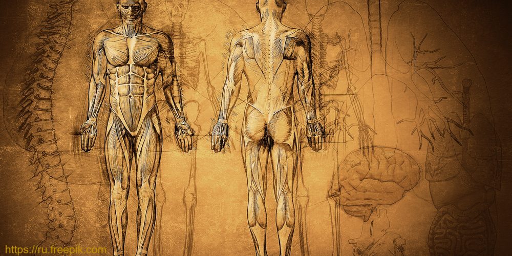 Онлайн-семинар «Ведущие факторы риска при коморбидной патологии, возможности фармакотерапии» 22 октября в 14:00