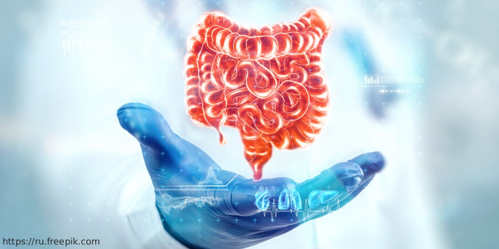 Конференция «Актуальные вопросы диагностики и лечения энтеропатий», 20 декабря 