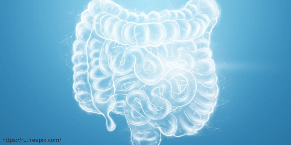 Круглый стол «Диагностика заболеваний кишечника», 20 февраля 2025 года