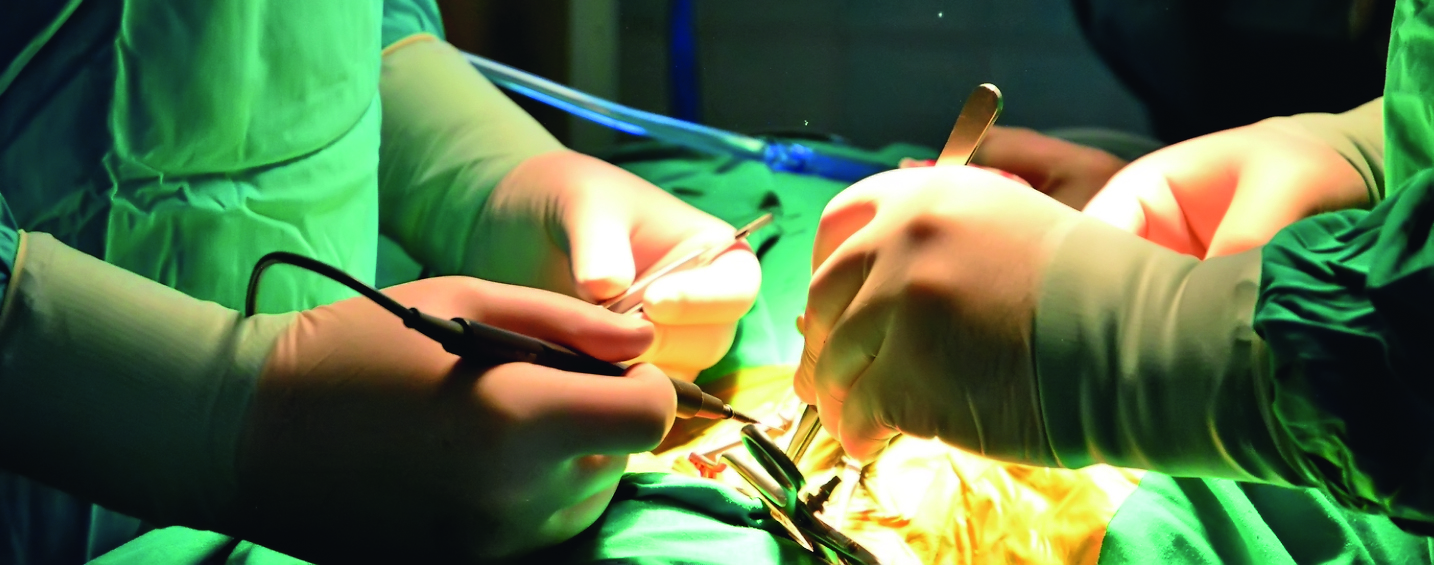 Успели вовремя 