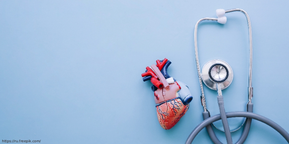 Семинар по моделям медицинской реабилитации кардиосоматических пациентов, 21 мая 2025 года