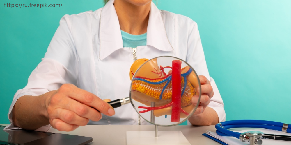 Гастроэнтеролог рассказал, как сохранить здоровье поджелудочной железы