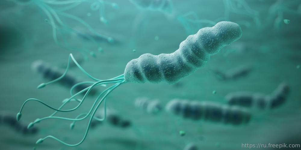 Гастроэнтеролог ответил на вопросы о Helicobacter pylori на канале FFTV 