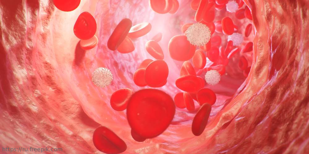 17 апреля – Всемирный день борьбы с гемофилией