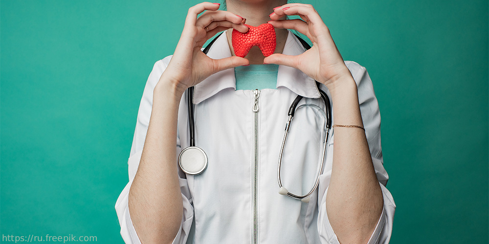 26 августа состоялся вебинар «Гиперфункция щитовидной железы»