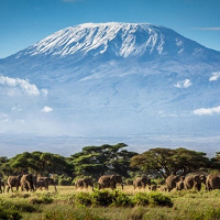 Благотворительное восхождение на Килиманджаро
