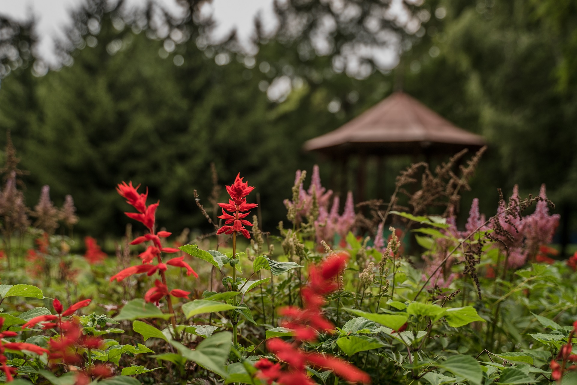 Здравоохранение на пути к углеродной нейтральности (Сингапур)