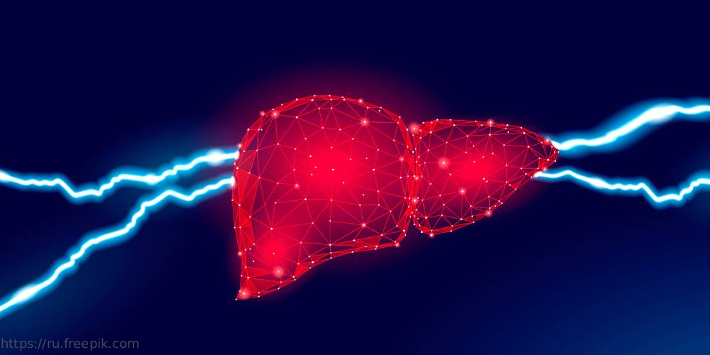 Состоялась конференция «Хронический гепатит: правильный диагноз – эффективная терапия»
