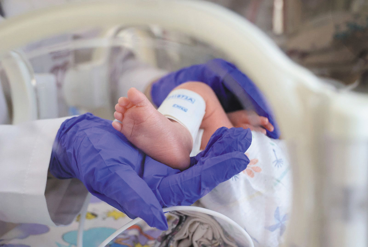 Охрана здоровья беременных. Патологии беременности. Профилактика акушерских осложнений