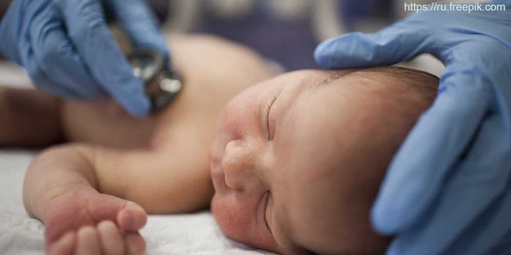 Состоялся двухдневный курс по клинической эхокардиографии для детских кардиологов