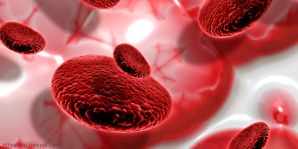 Международный день борьбы с гемофилией