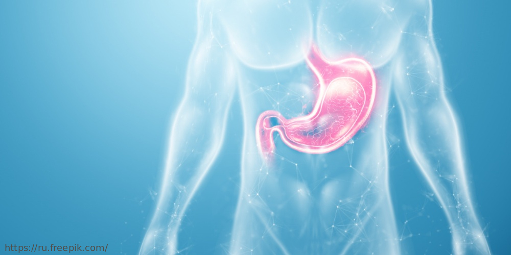 Вебинар «Ранняя диагностика и профилактика заболеваний пищевода» 21 и 22 августа 2023 года