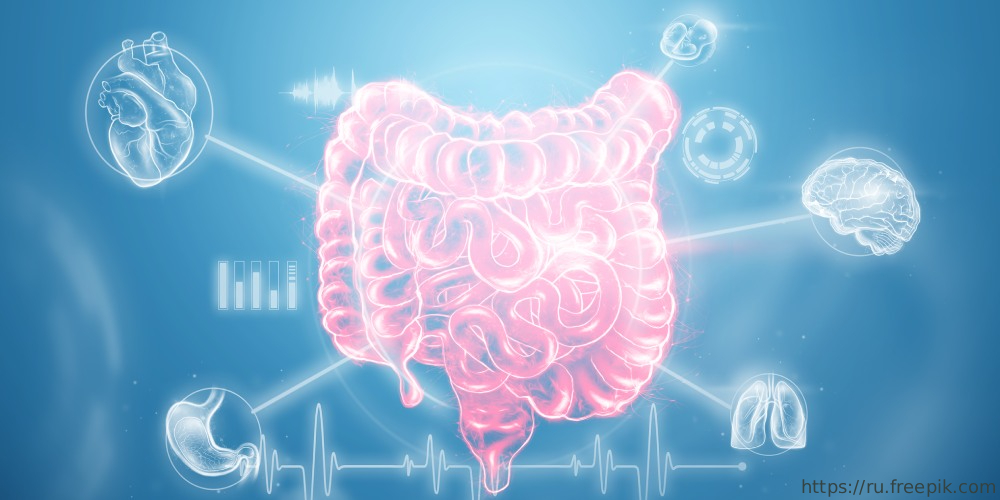 Конференция «Проблемы скрининга и ранней диагностики онкологических заболеваний органов пищеварения», 20 сентября