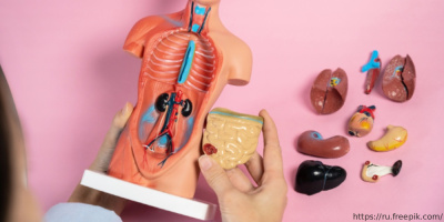 Конференция по аутоиммунным и иммуновоспалительным заболеваниям органов пищеварения