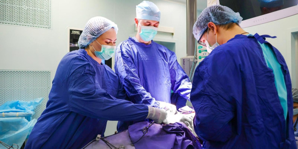 Инновации в трансплантации