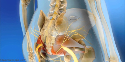 Сотрудник ОМО по урологии принял участие в курсе по сакральной нейромодуляции от ведущих специалистов ЕС
