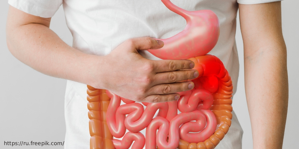 Конференция, посвященная синдрому раздраженного кишечника и СРК-подобным нарушениям, 23 апреля