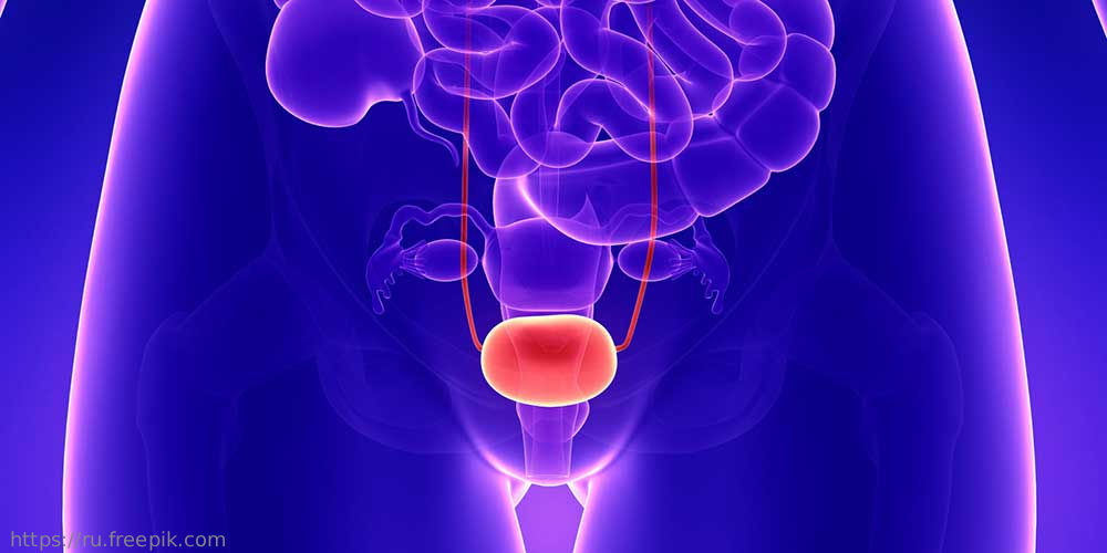 Вебинар по нейрогенной дисфункции нижних мочевых путей 26 февраля в 11:00