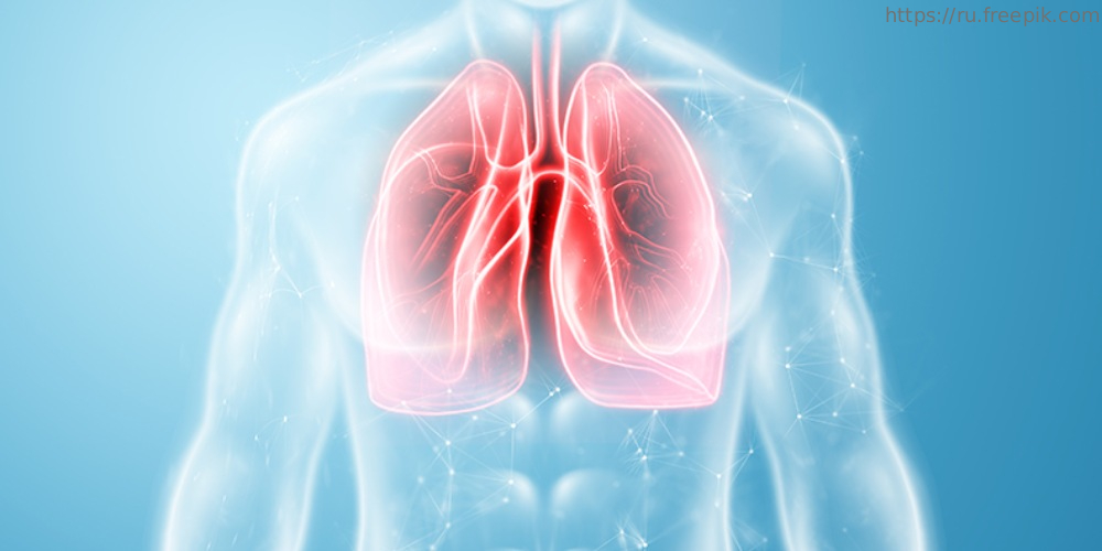 Семинар «Туберкулез как мультидисциплинарное заболевание. Особенности диагностики и выявления в условиях COVID-19», 19 апреля 2022 года