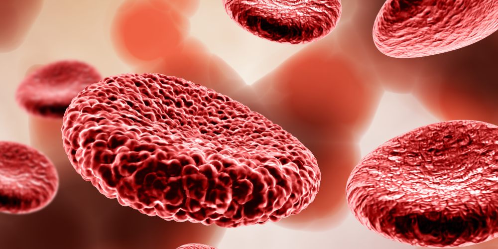 CAR NK-клетки и возможность их использования для лечения гематологических новообразований
