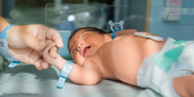 Исследование тенденций рождаемости в Москве