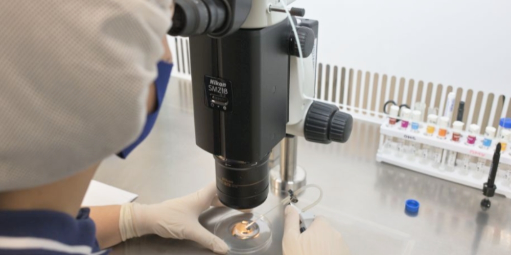 Конференция по охране труда в работе фельдшера-лаборанта Бюро судебно-медицинской экспертизы, 23 апреля 2026 года