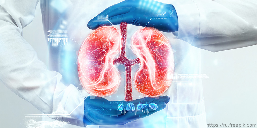 Вебинар для населения «Острое почечное повреждение: стратегия, тактика, прогноз», 16 июня 2022 года