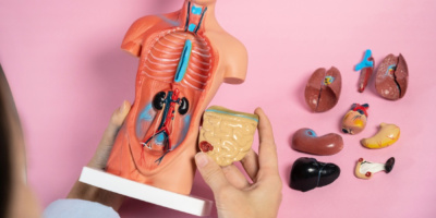 Конференция по аутоиммунным и иммуновоспалительным заболеваниям органов пищеварения