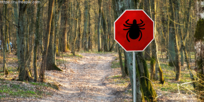 Клещевой энцефалит: история вопроса, диагностика, профилактика