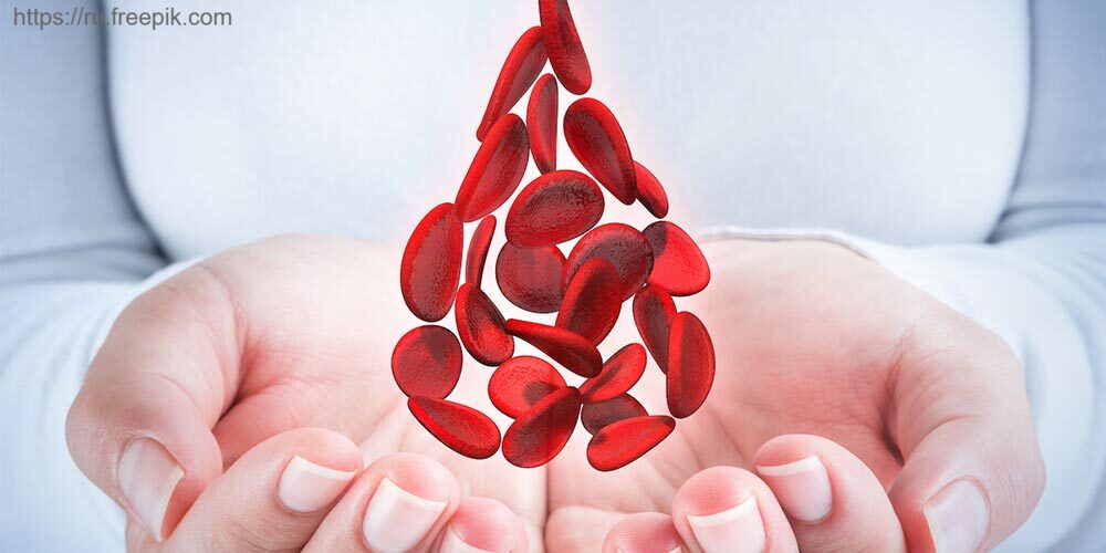 Сентябрь – Всемирный месяц осведомленности о злокачественных заболеваниях крови