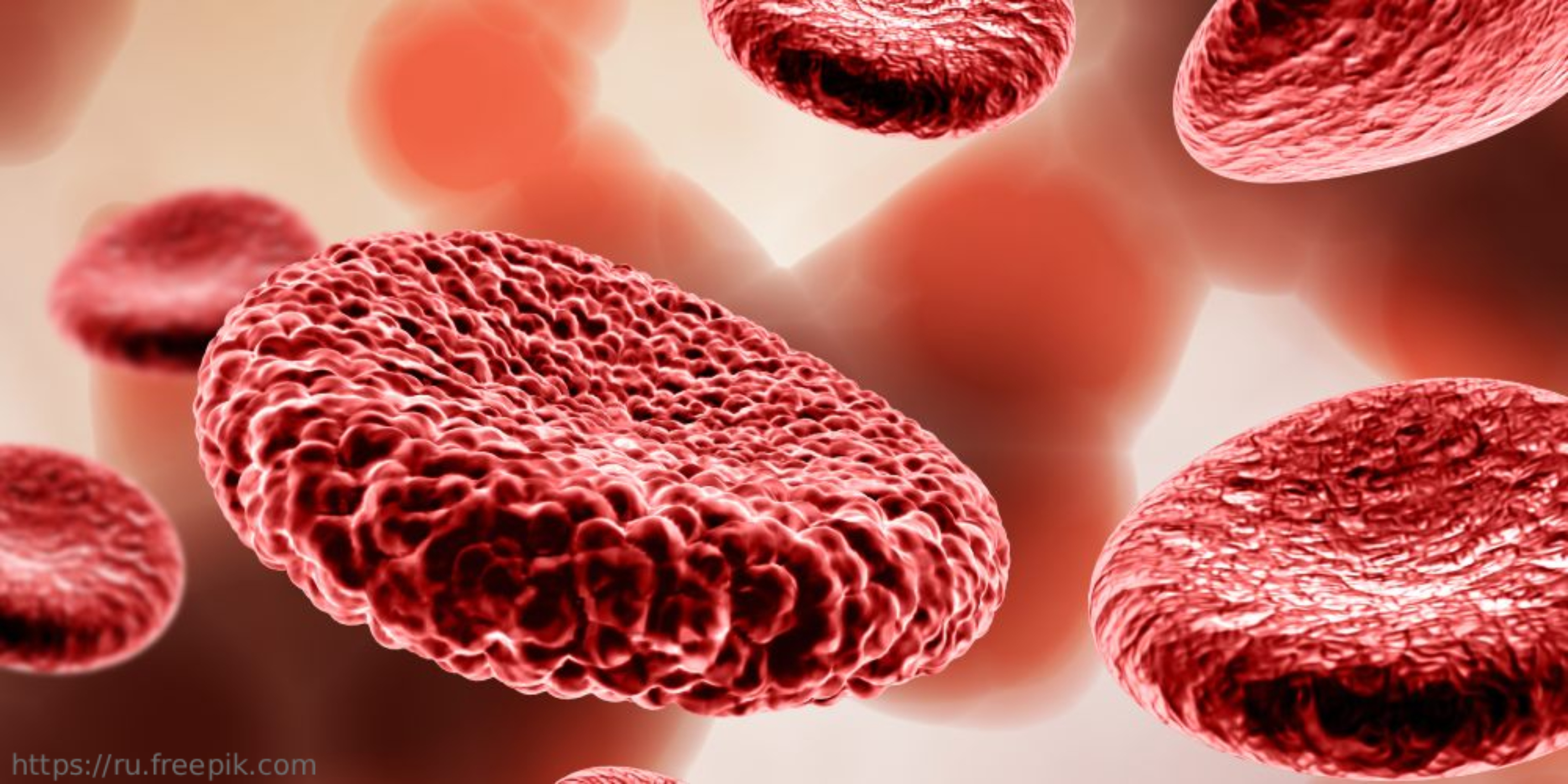 CAR NK-клетки и возможность их использования для лечения гематологических новообразований