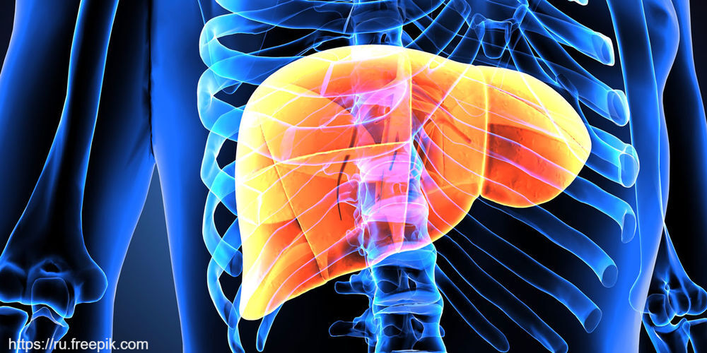 Конференция «Болезни печени в практике гастроэнтеролога и терапевта» 20 октября в 10:00