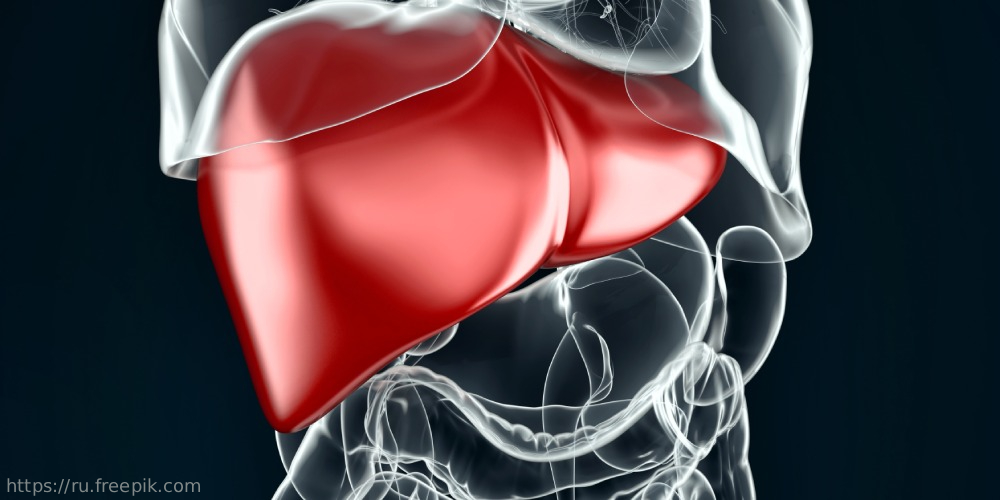 Комплексный анализ медикаментозного обеспечения пациентов с неалкогольной жировой болезнью печени в Моcкве