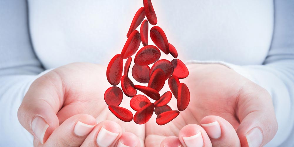 Сентябрь – Всемирный месяц осведомленности о злокачественных заболеваниях крови