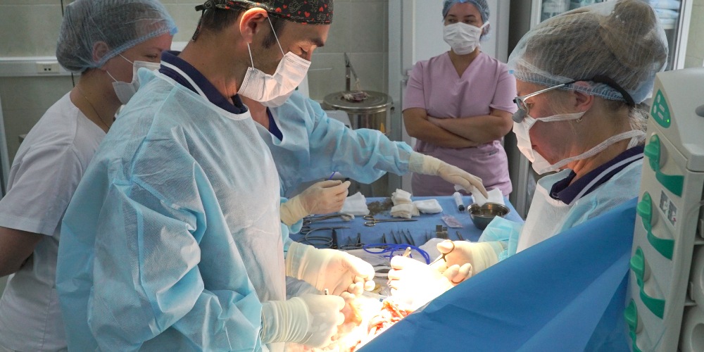 Семинар Московской школы детского травматолога-ортопеда имени профессора В. П. Немсадзе, 25 ноября 2025 года