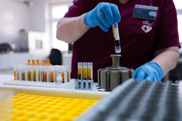 Заглянуть  внутрь клетки 