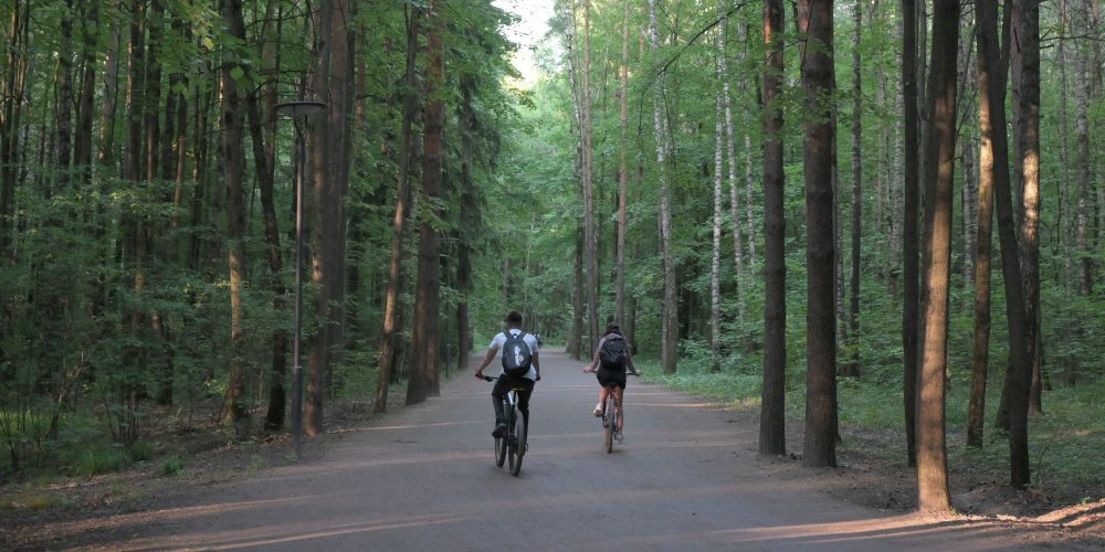 Важность активных видов спорта для здоровья