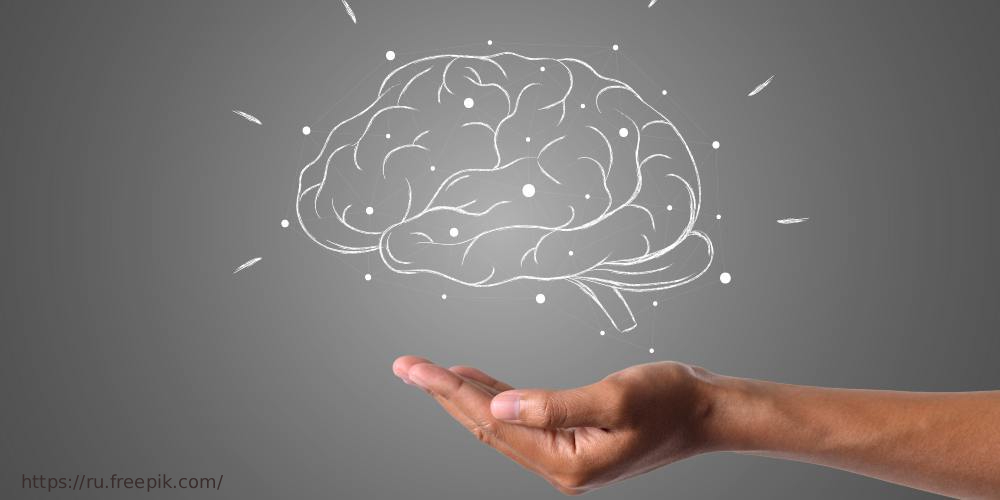 Всемирный день мозга