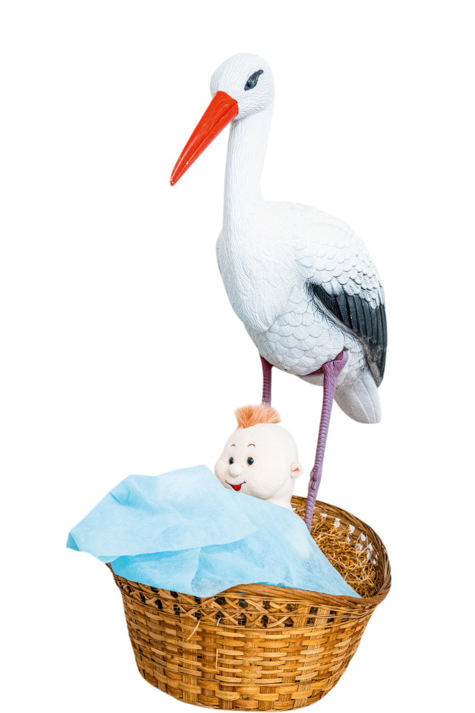 20250228-CHA_2549 (1).jpg