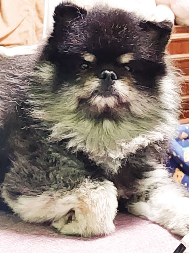 Отзыв Ерамишанцева.jpg